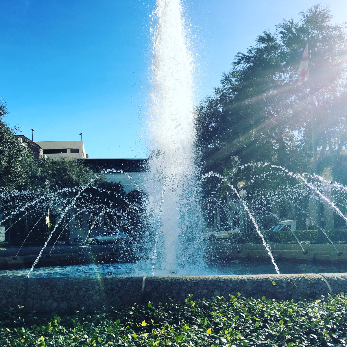 KuceraProperty's tweet photo. Hello #sunshine! We #love having you around! #dtsp https://t.co/Rokxcc0v5c