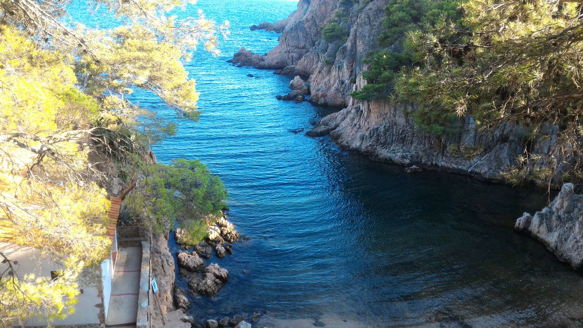 Aigües blaves i transparents en una de les petites platges de la delicada cala d'Aigua Xelida (Tamariu-Palafrugell). Foto JMBB