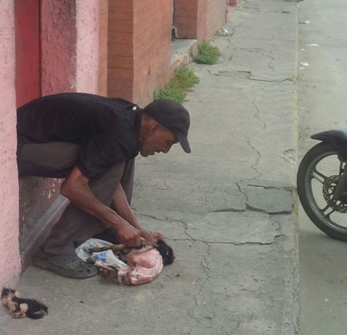 venezolanoenpie's tweet image. Nivel de hambre

Un hombre despelleja a un perro para comerlo en puerto Cabello, Venezuela, país que no comía perros antes del chavismo!