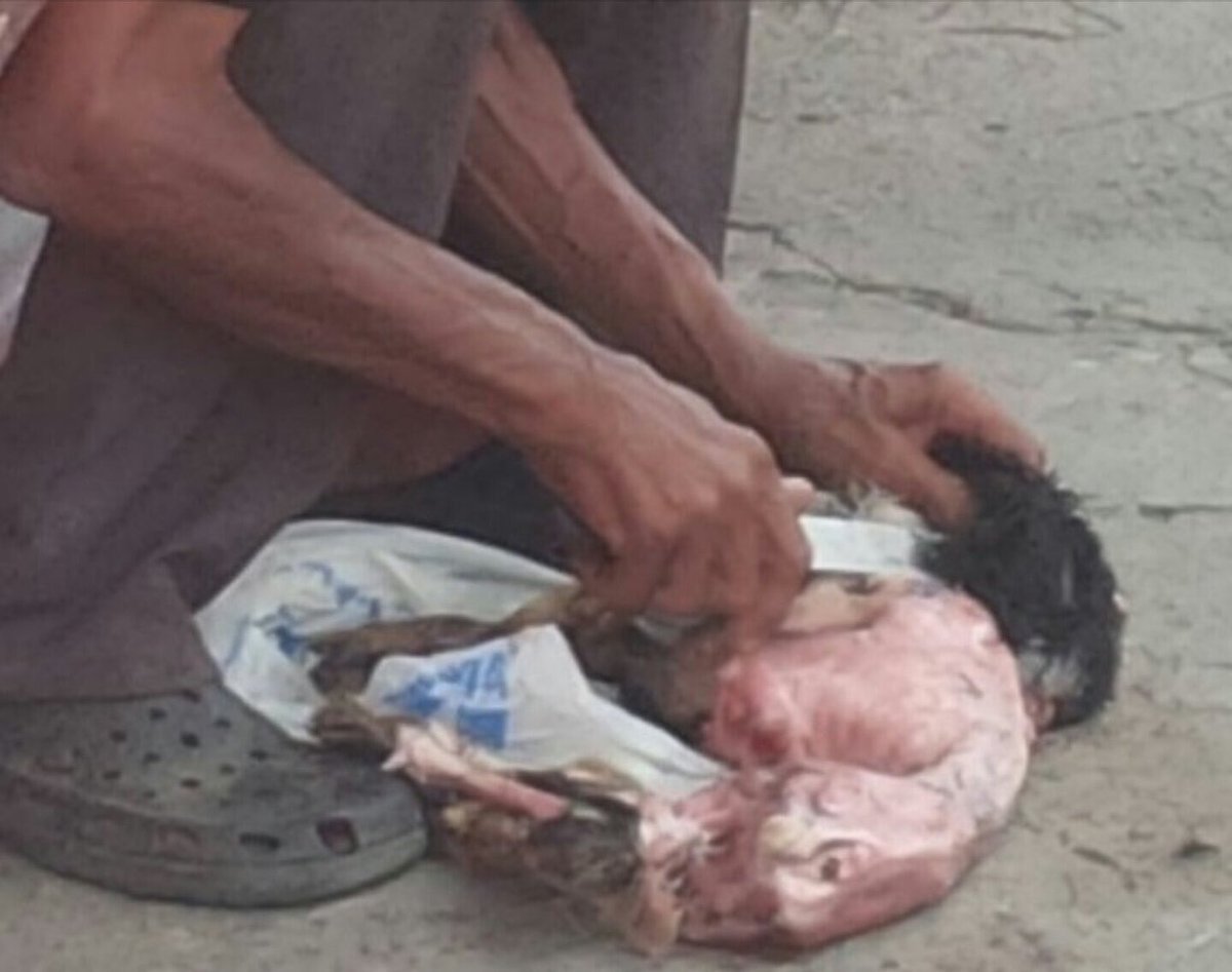 venezolanoenpie's tweet image. Nivel de hambre

Un hombre despelleja a un perro para comerlo en puerto Cabello, Venezuela, país que no comía perros antes del chavismo!