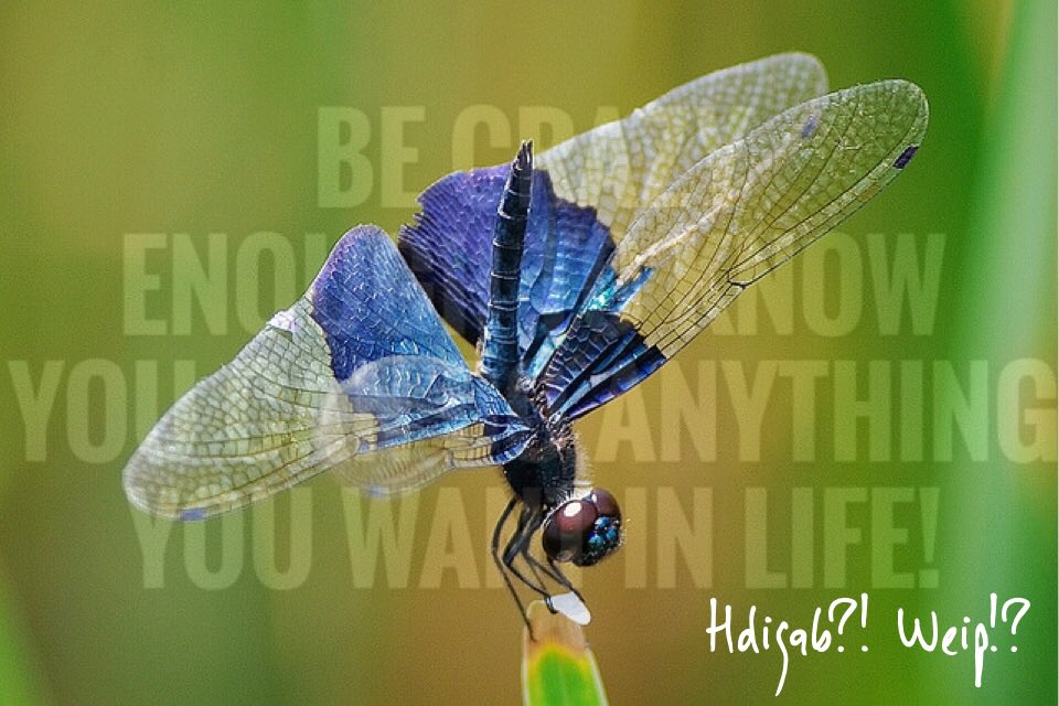 AccessHappyHour's tweet image. How does it get any better? What Else is possible?