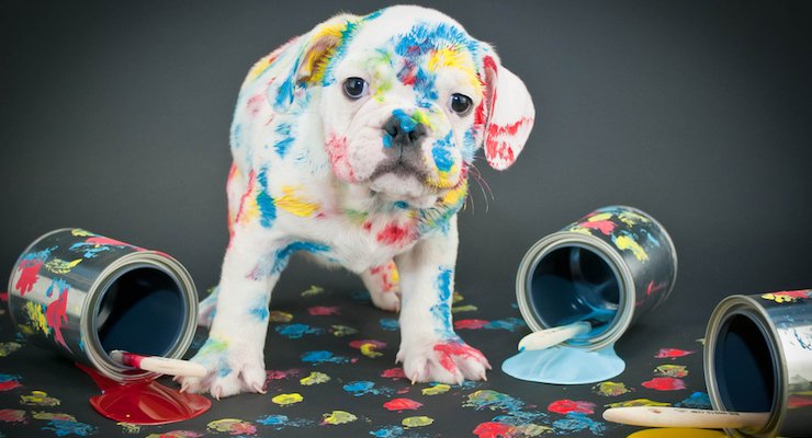 mrglyn96's tweet photo. 9 New Visual Content Marketing Trends for 2017 https://t.co/MftKYyAz24 #smm #socialmedia https://t.co/XHTUnuzl7y