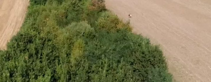 TwittoSeb's tweet photo. Sauras tu deviner quel producteur d'émission pour @M6 a reçu un drone pour Noel ? #adp #adp2016 https://t.co/Nfmhlyu7hY
