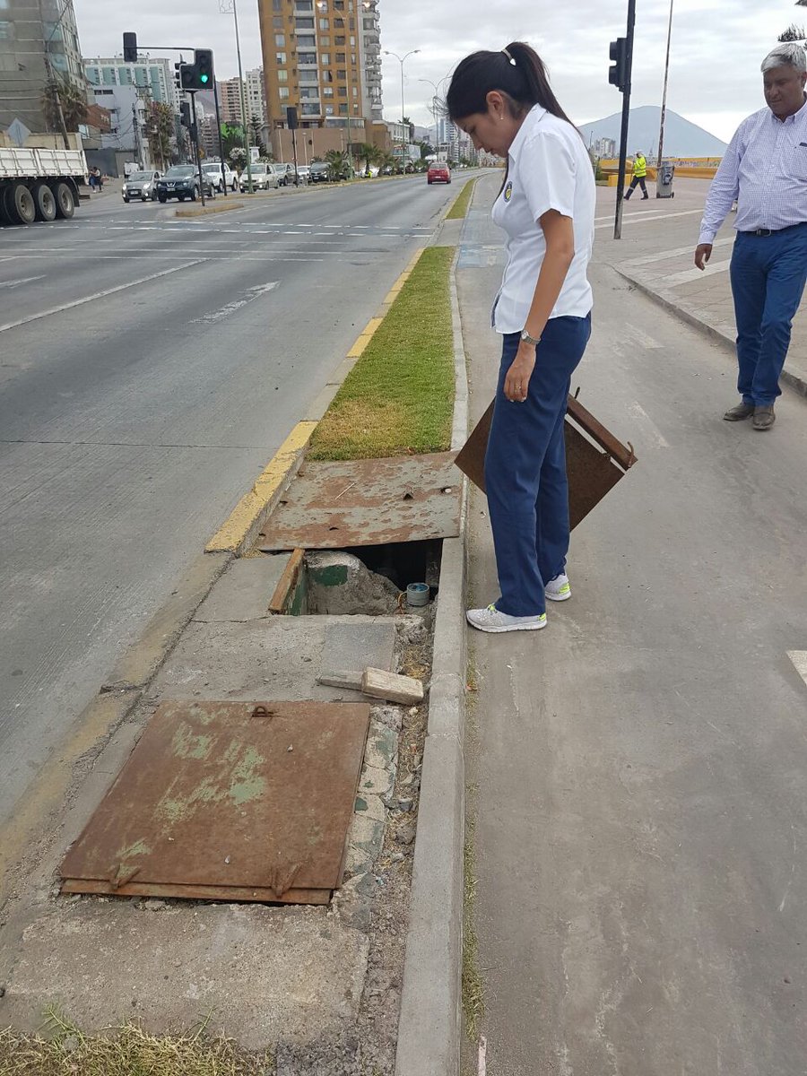 Muni en Terreno tweet media