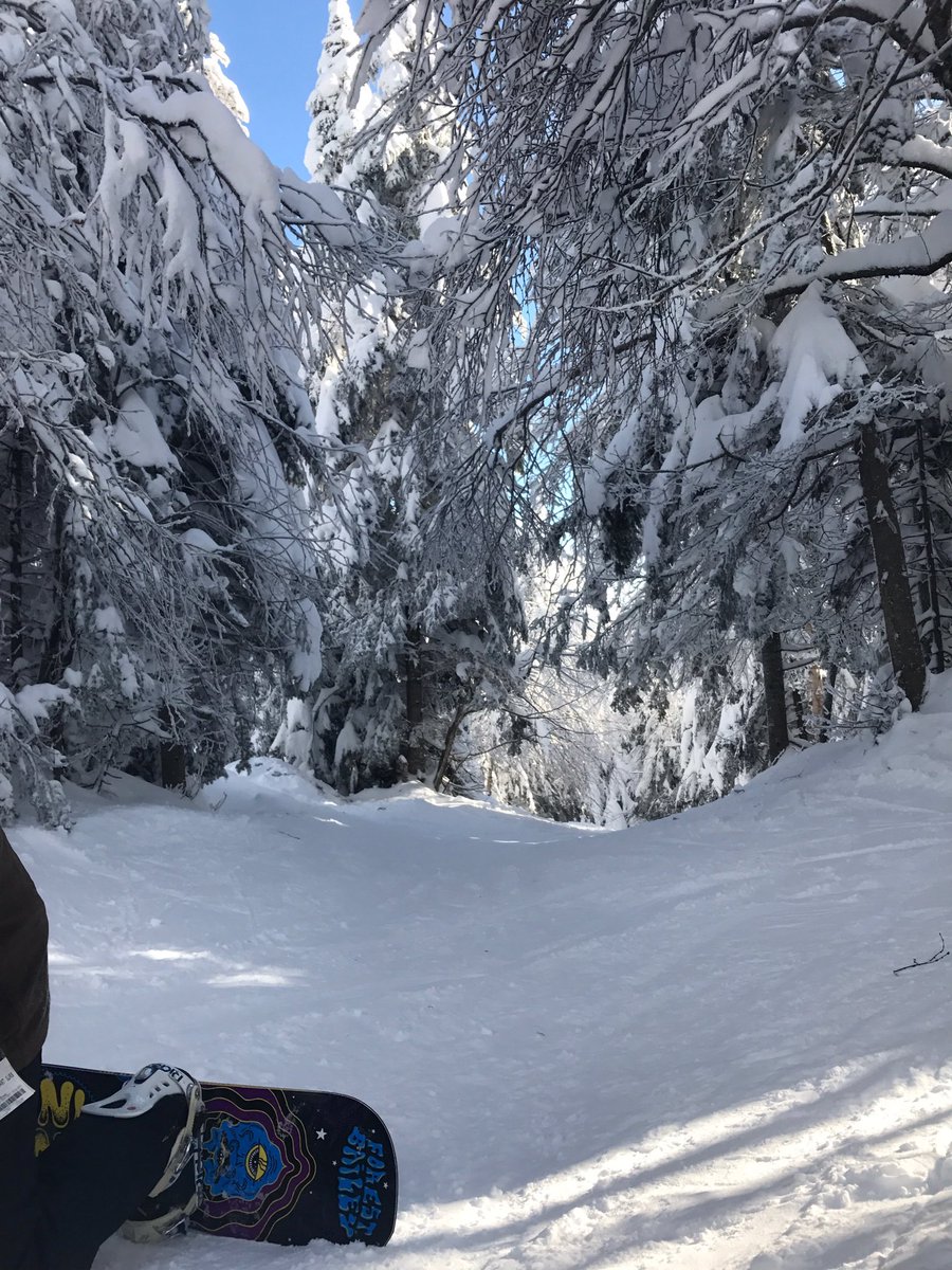 Snow Escape tweet media