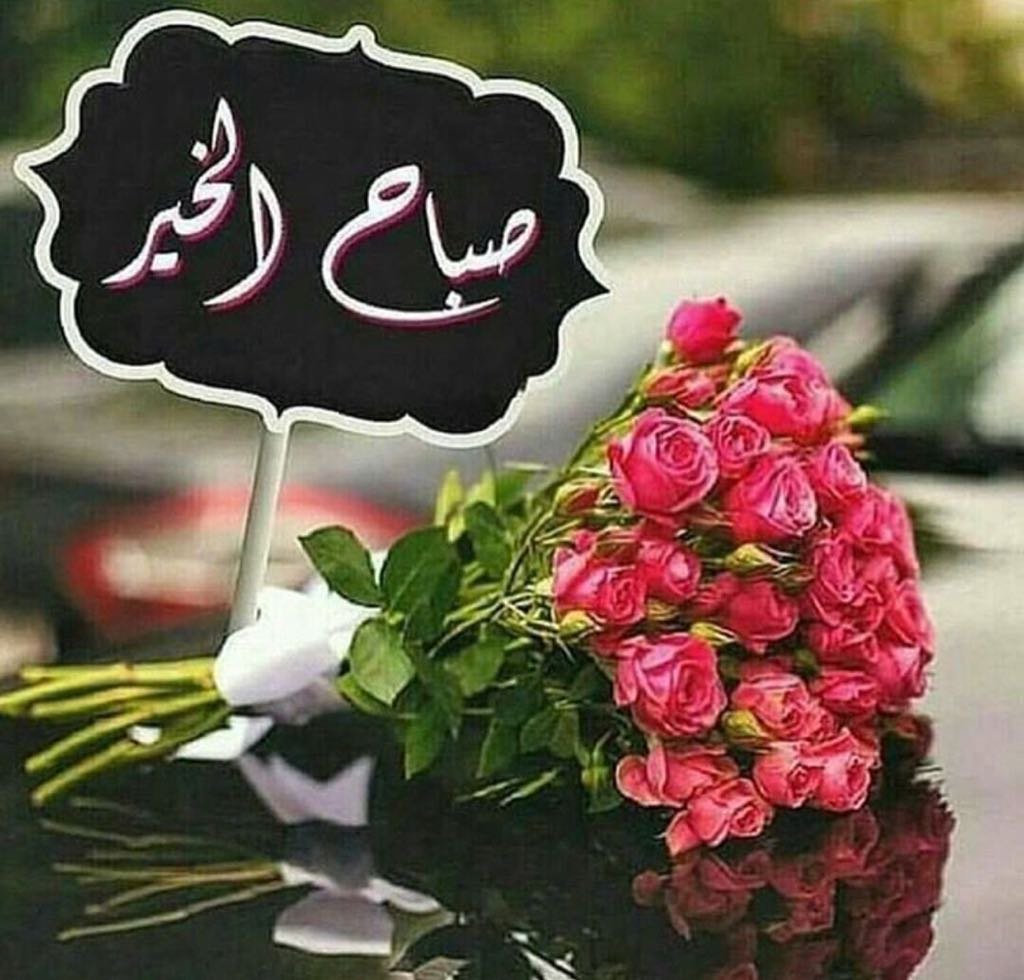 #_

فيه ناس تخرب جمالها بأسلوبها وفيه ناس اسلوبهم لحاله جمال.😴🌸
صباح الذوق الراقي
للناس السنعه

صباحكم ورد