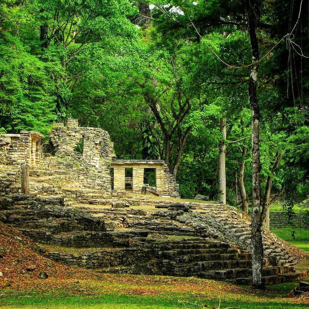 allmexico365's tweet image. Yaxchilan is a hidden gem deep in Chiapas. #yaxchilan #chiapas #mexico #maya j.mp/2iYoH0Y