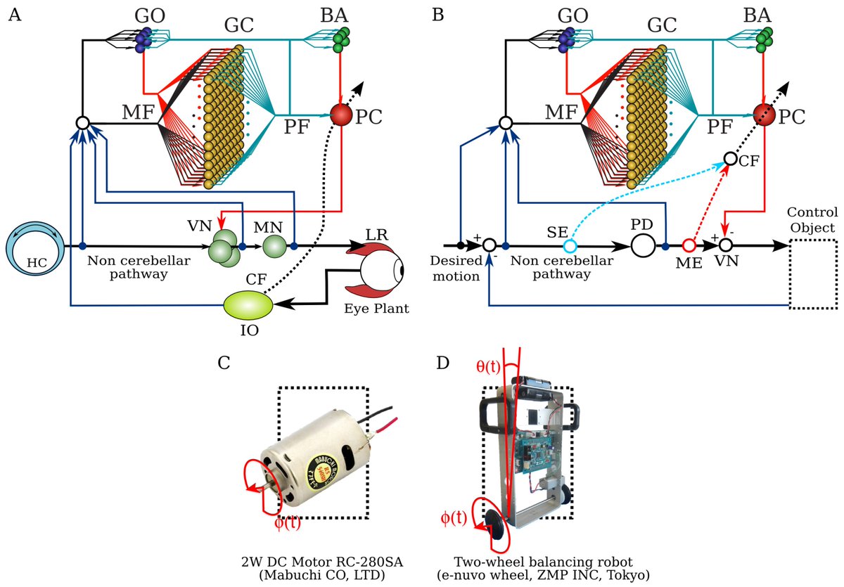 BrainSci_MDPI's tweet image. #BrainSci Evaluation of Teaching Signals for #Motor #Control in the #Cerebellum during Real-World #Robot Application.mdpi.com/2076-3425/6/4/…