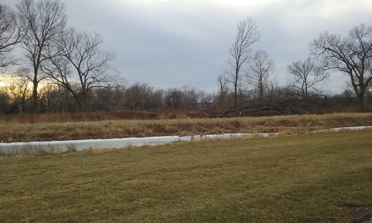 Nic Youngers tweet media