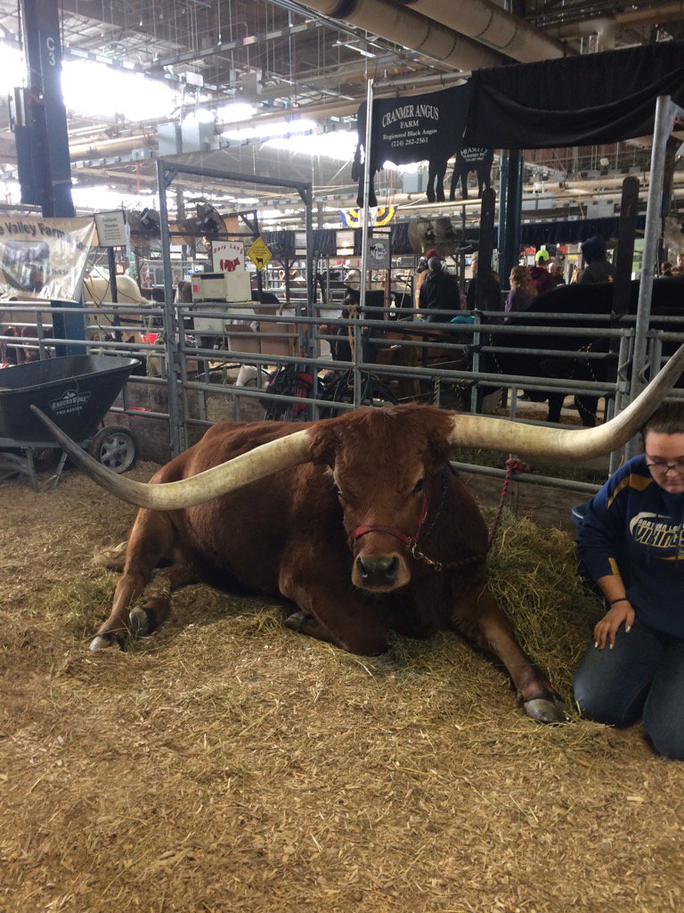 nhhsagriculture's tweet photo. Today 80 NH FFA members stormed the PA farm show to learn about PA agriculture #agriculturecareers #PAFarmShow17 https://t.co/hr5rPhPxl5