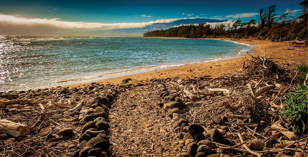 Walking the Kingʻs Highway with photographer Daniel Sullivan.
bit.ly/2aNUg6l #hawaii #adventures #culturaltreasures