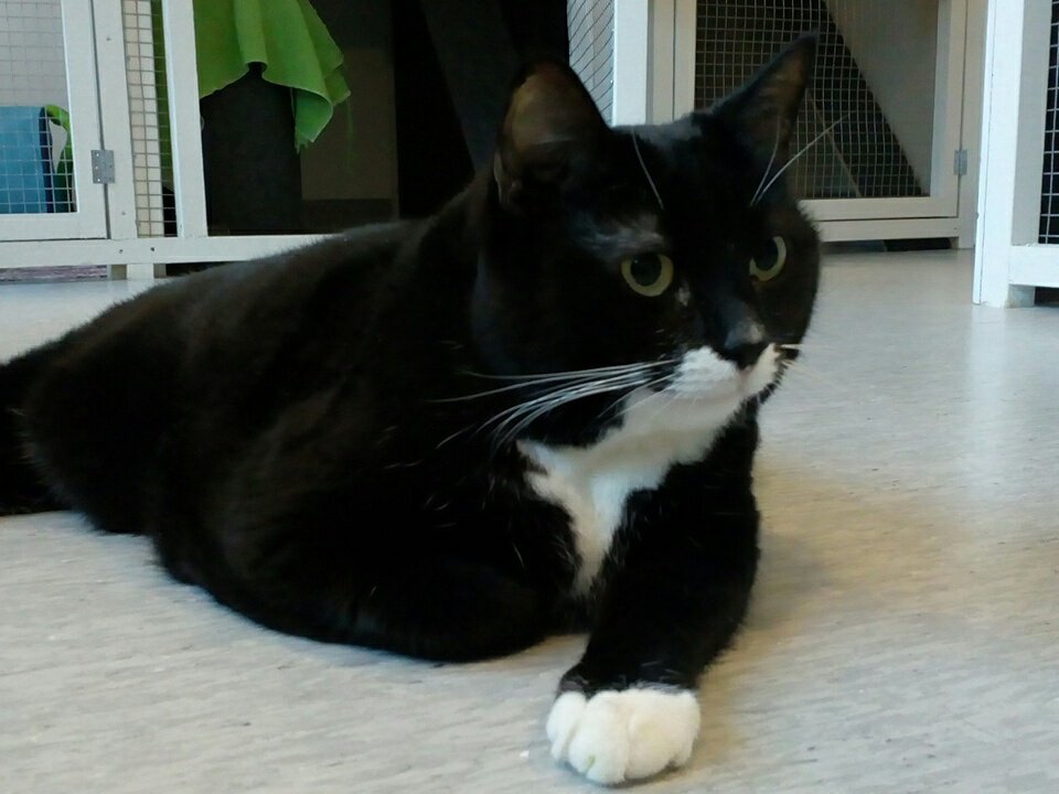 Justiina Twitter Search Twitter Justiina Twitter Search Twitter