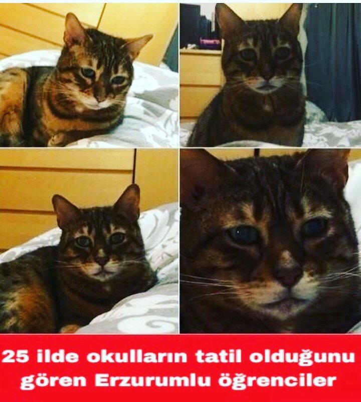 Günaydın 😎😂
