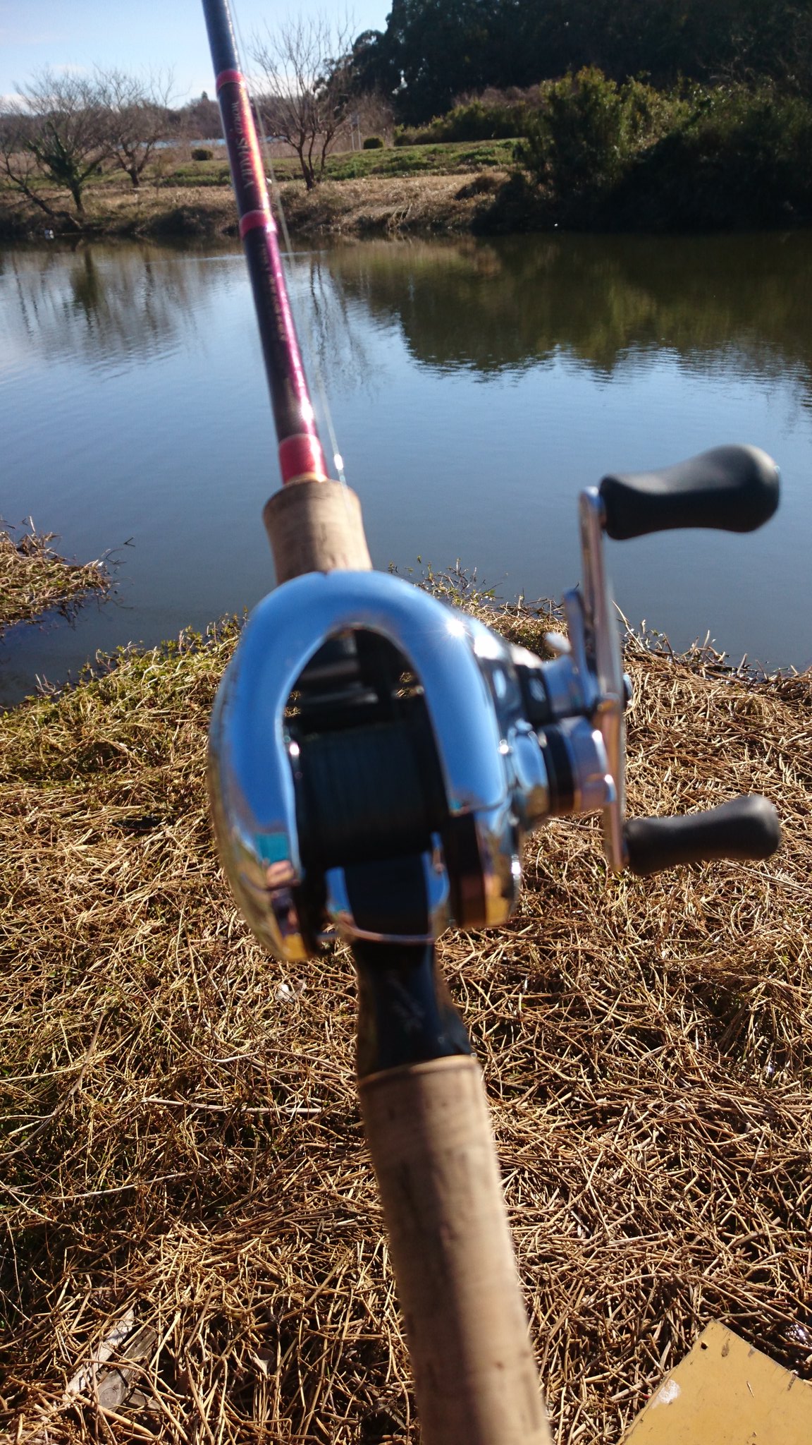 Muro バス釣り好き 白猫復活 とりあえず今日は 地元の川で今年初バス釣りしてきた 12アンタレスを試しに使った結果 巻き心地 飛距離ともに抜群でした ワールドシャウラ 12アンタレス めっちゃいい あるyoutubebarも12アンタレス推してたので ほしく