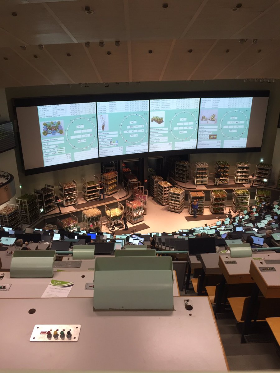 GCollectP's tweet image. Elke dinsdag vaste prik, even een kijkje nemen op de planten klok in Aalsmeer @Luushooyman @FloraHolland #rfh