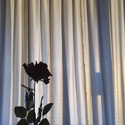 mannysforkyra's tweet photo. I see you in the sky I see you in the stars I see you in color I hear you in songs You're in the stars, sun, moon, you're my light https://t.co/segVsX4gnp