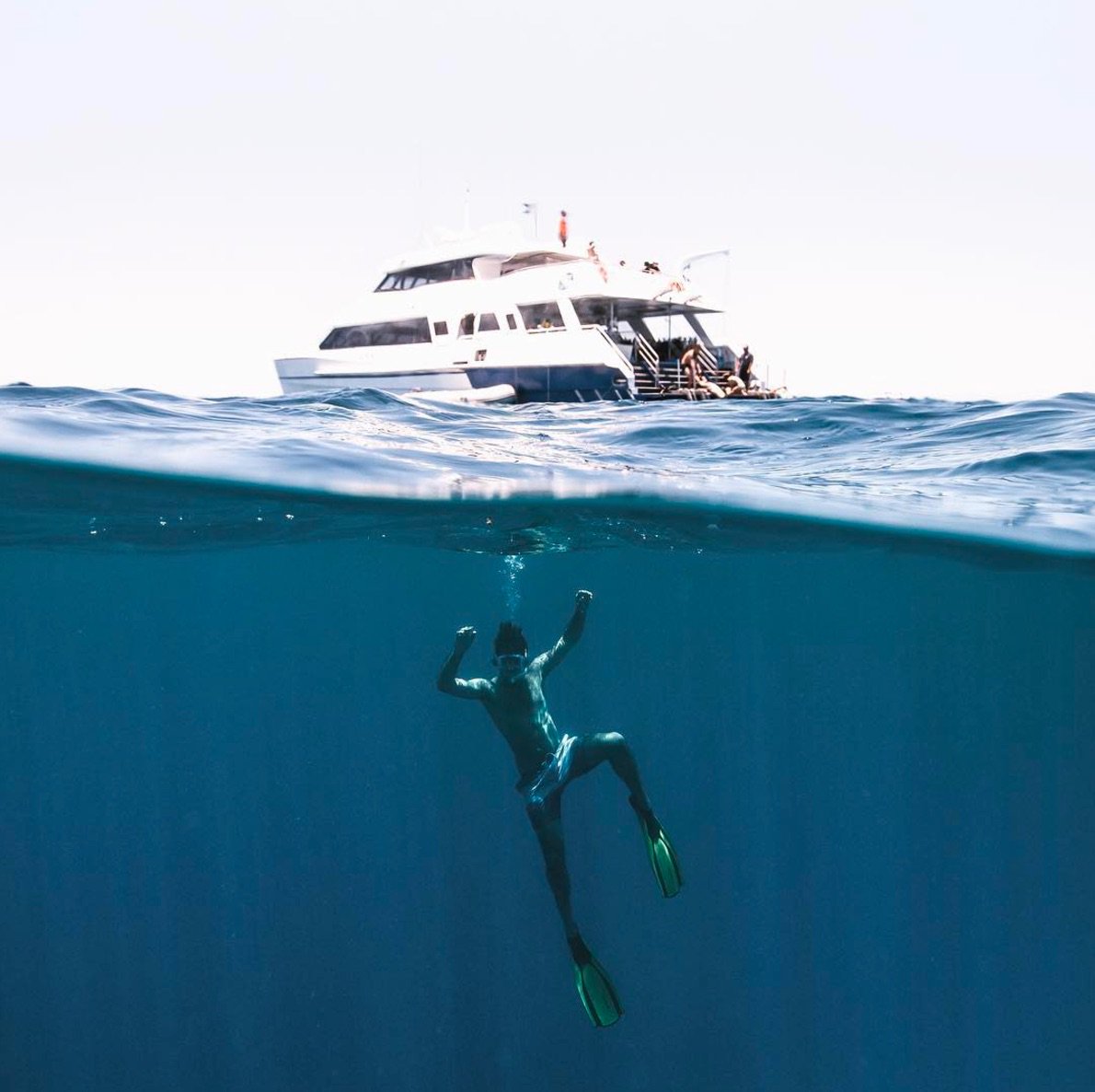 Days well spent on the <a href="/gbrmarinepark/">Great Barrier Reef Marine Park Authority</a> with @DiversDenCairns 🐢 Photo by <a href="/kpurlingphoto/">mycolourfulworld_</a> #exploreTNQ