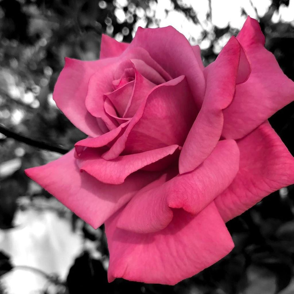 Happy Tuesday! Let's make a #colorsplash with #bitpoem ! ift.tt/2jo8Fua