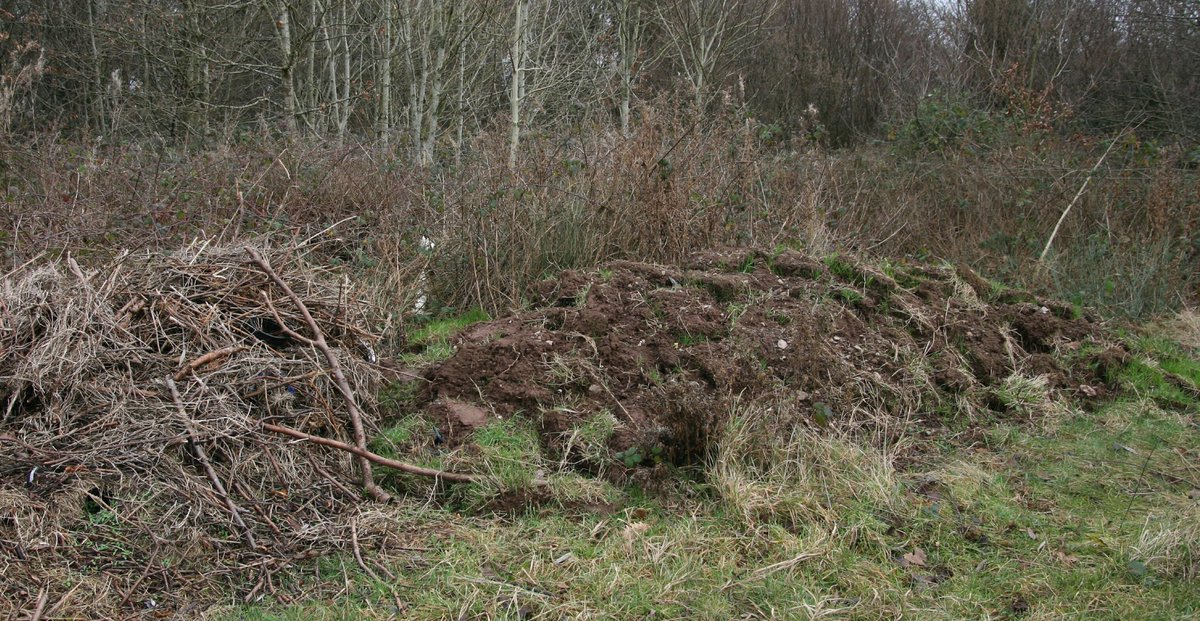 HenllysLNR's tweet photo. We've created a south-facing habitat pile & a #beebank from waste materials from our #NaturalBuzz project. #beefriendly @Keep_Wales_Tidy https://t.co/eLCfbnO0c2