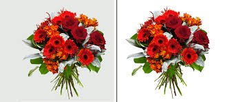 TopClipping's tweet photo. #clipping-path-service
whatever image editing services you need, we are ready to serve you.
https://t.co/wfn5OaeAIG https://t.co/kKEjN02fhY