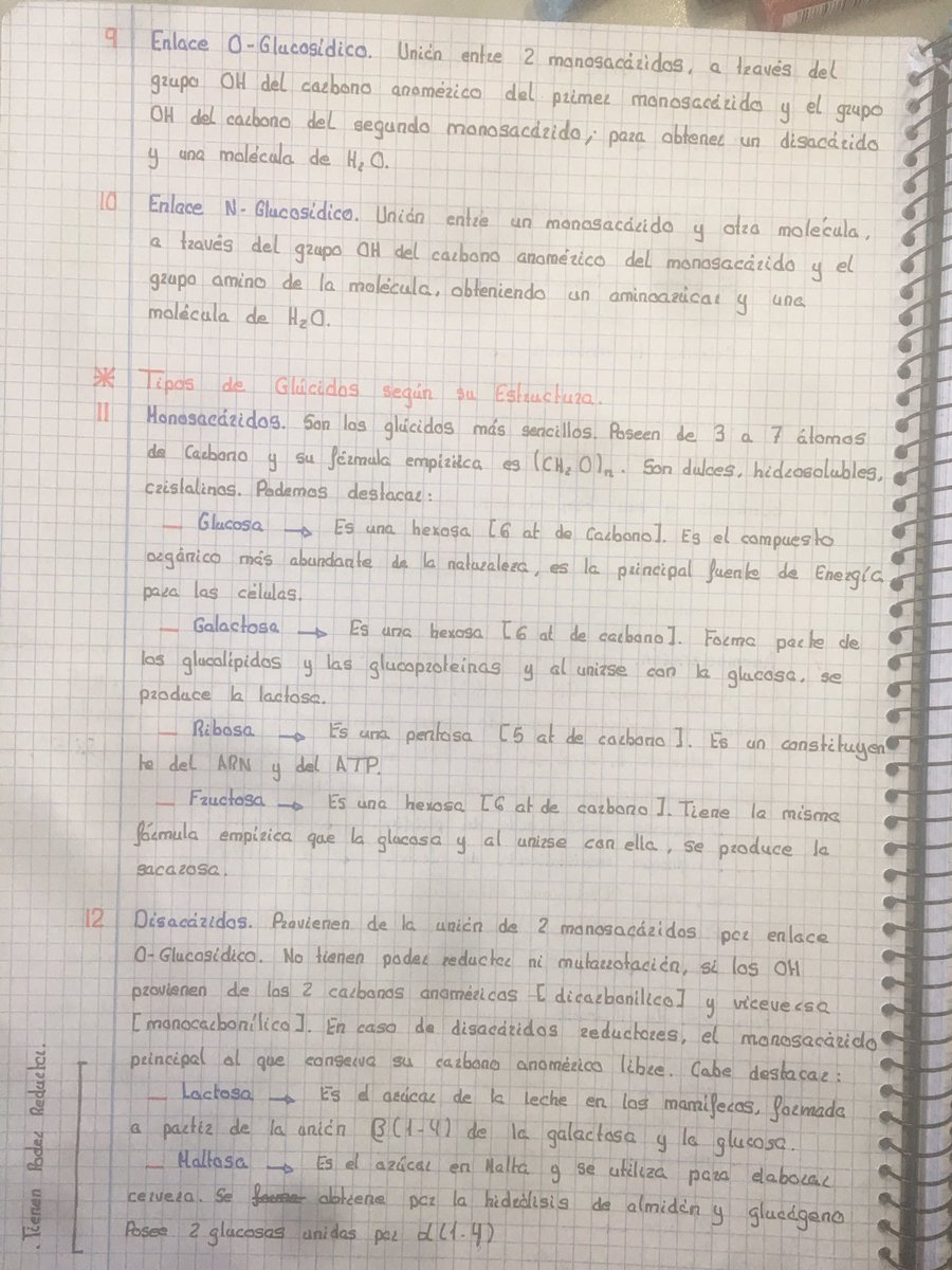 antoniogm_05's tweet image. Sinceramente no sé cuantos años llevo dando lo mismo...