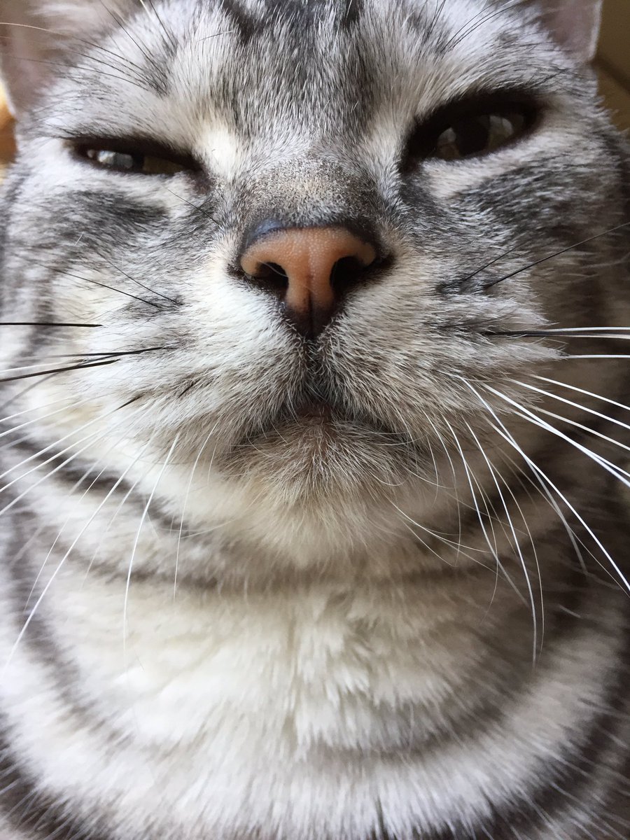 slurmQuEBJUJK3X's tweet image. 悲しくて、辛くて涙がでる。
嬉しくて、楽しくて、有り難くて泣けてくる。
ありがとう。😊ありがとう。😊
#アメショー #土あっぷ祭