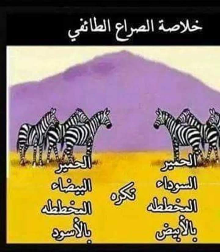 بنت العراق (@man98211) on Twitter photo 