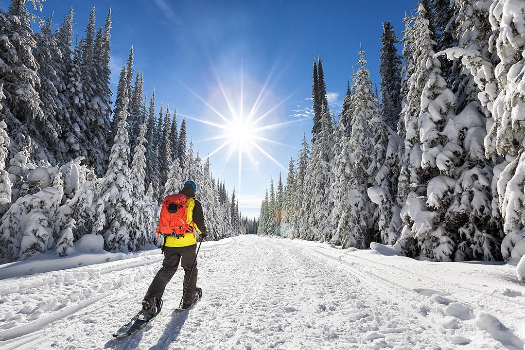 Calgary Outdoor Club Twitter