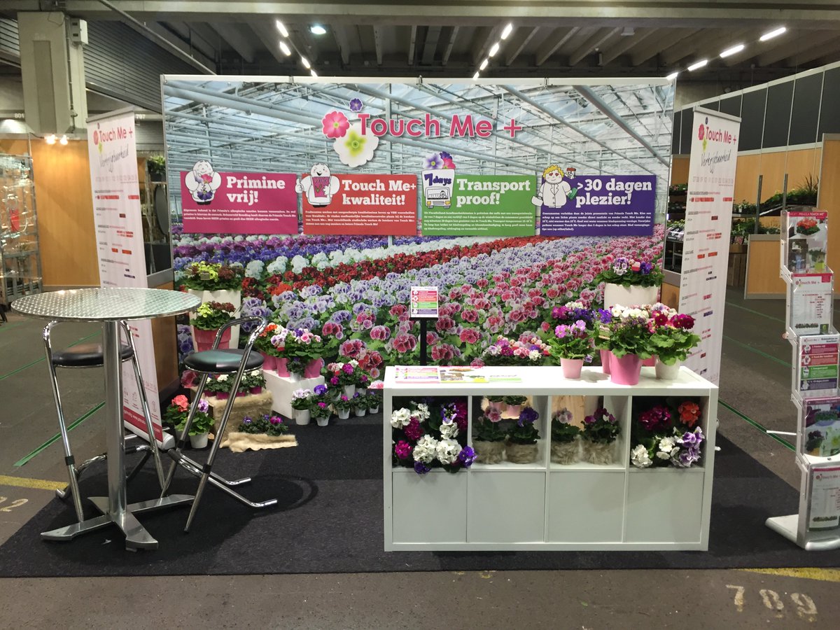 Deze week zijn wij op de Royal FloraHolland WinterFair. U kunt ons vinden in stand 6.2!! #winterfair #primula #touchme #floraholland