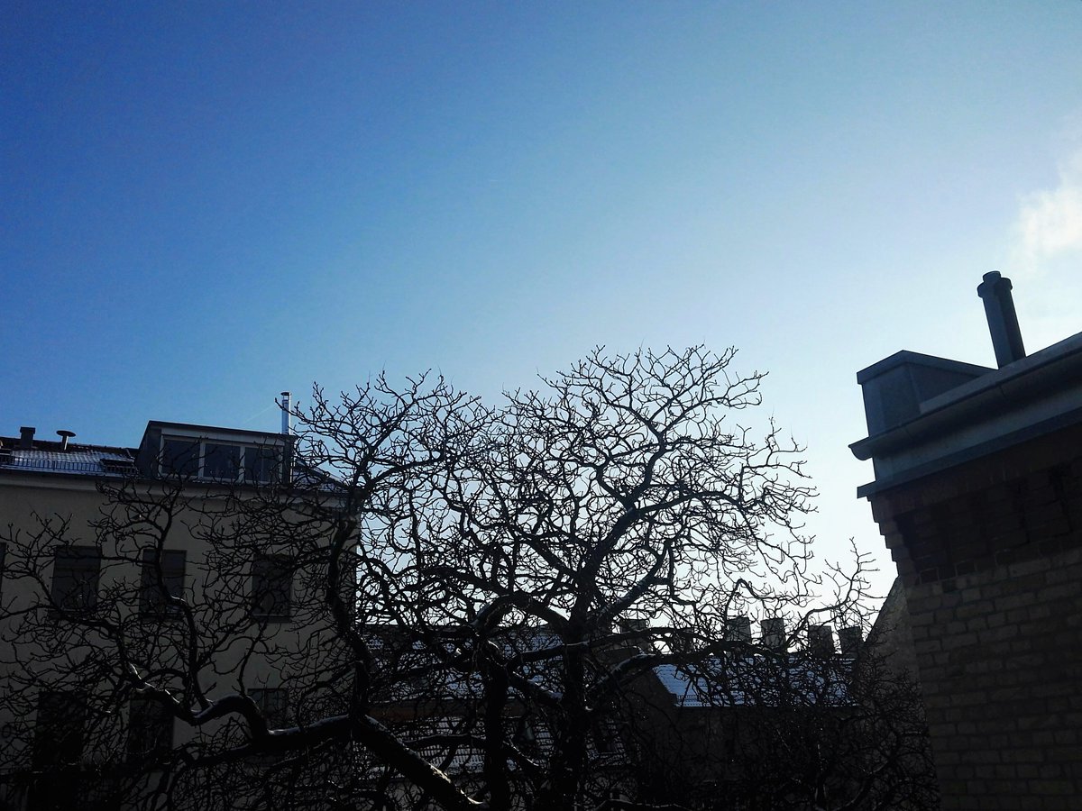 17grad's tweet photo. #Berlin is spoiling us with #blueskies on a frosty January afternoon. #motivation #newoffice #view https://t.co/53cDsvKw3l