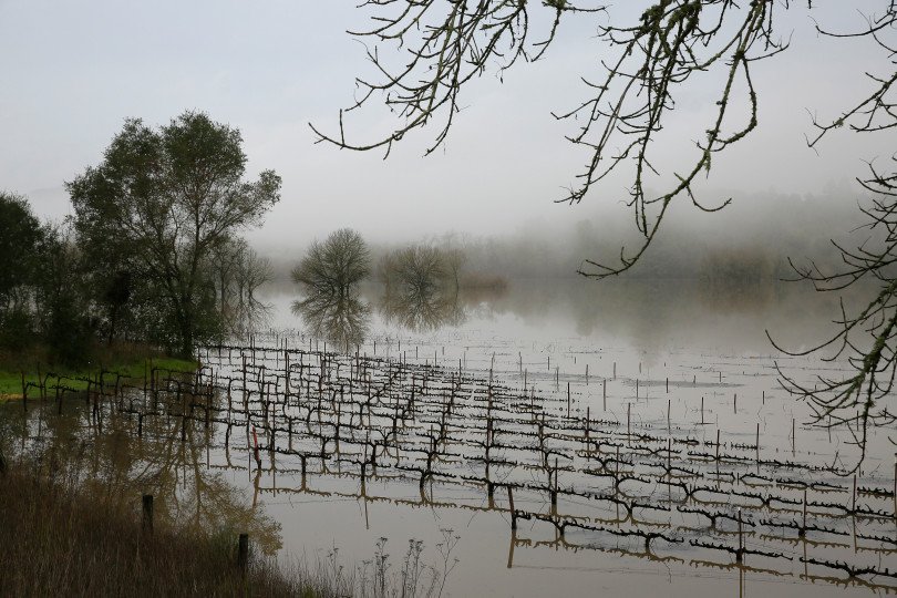 DrJimsWine's tweet photo. California wine country hit hard as storms rock West Coast https://t.co/2NGKgjjIWI https://t.co/gFccWhL0EZ