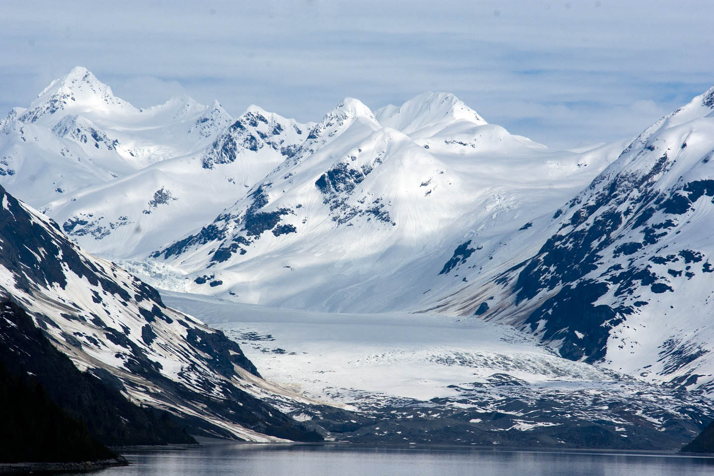 Arctic Tundra