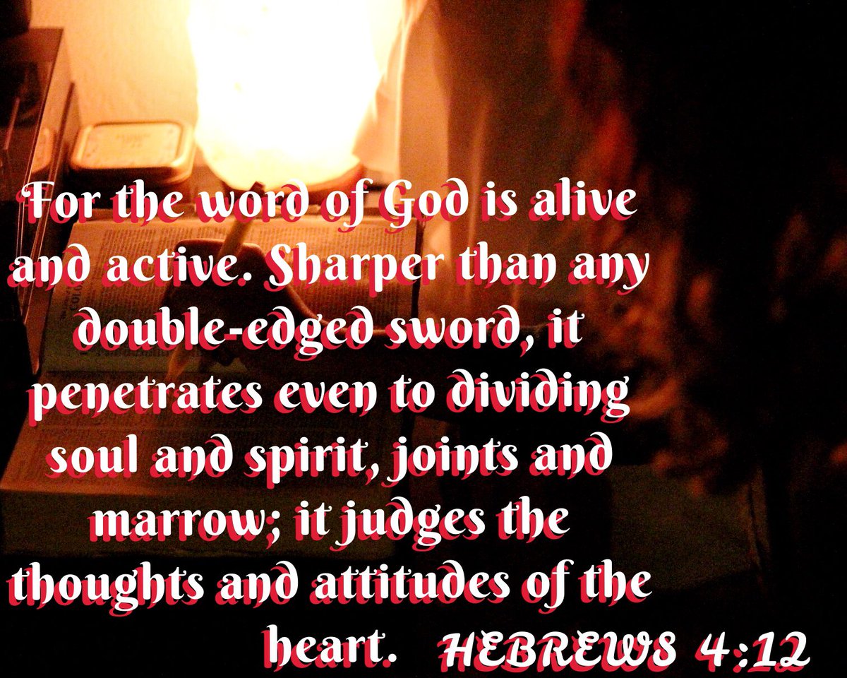 MyGodsCreations's tweet photo. #bibleVerse #PictureByMe #RebelT6 #canon #Bible #God @BibleVerseQuote @CanonUSAimaging https://t.co/X35NnKbSjd