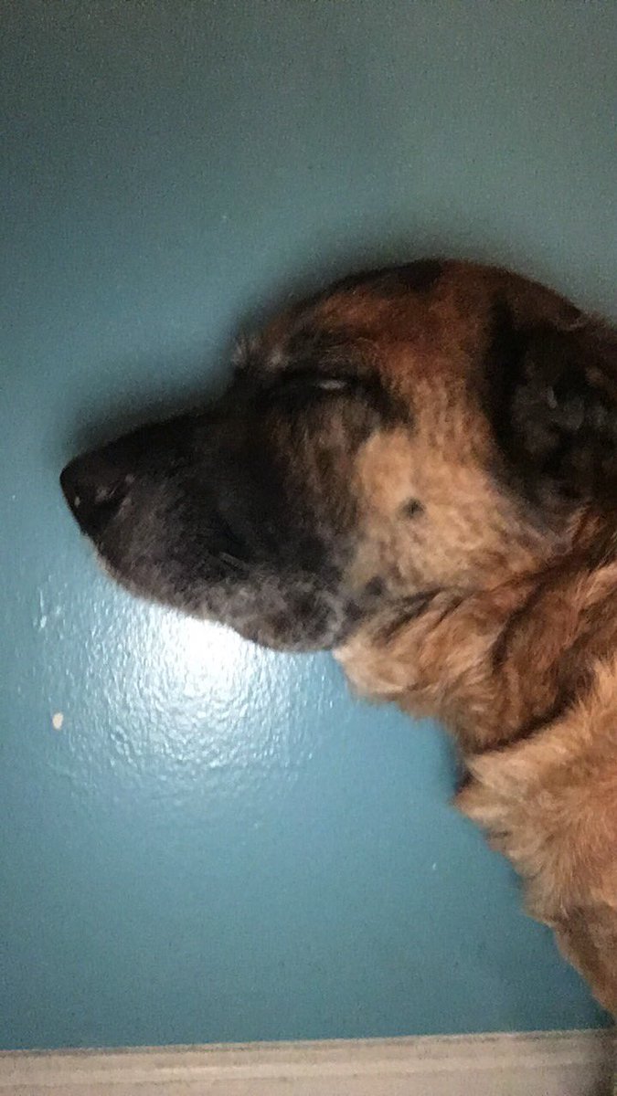 864_EP's tweet image. 