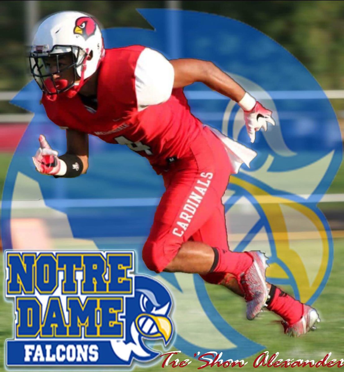 treshona4's tweet photo. Beyond blessed to say I've committed to Notre Dame College! 313βοΈ216 #FalconFlock17 #BirdGang https://t.co/CQPt3Xmnwb