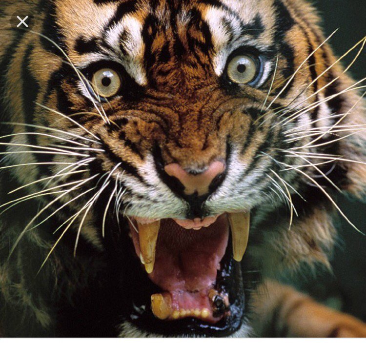 Uh oh, the beat is back, and he's pissed! Stay away from IR tomorrow. You have been warned