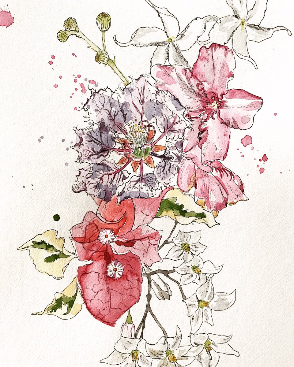 LittleRabbitArt's tweet photo. “I cannot rest, I must draw, however poor the result,&amp; when I have a bad time come over me it is a stronger desire than ever" Beatrix potter https://t.co/k8mO0U6rju