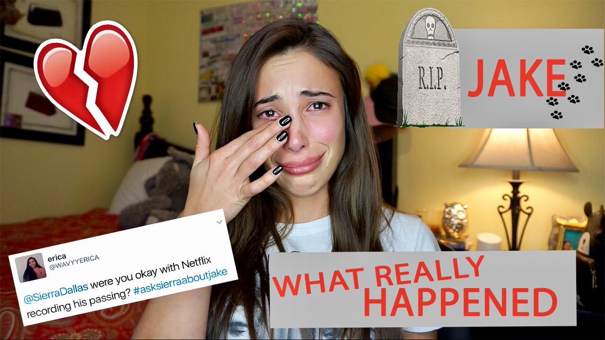 SierraDallas's tweet image. Hardest video I've ever done 🐾🐶💔 

📽👉🏼 bit.ly/RIPjakeybakey 

#asksierraaboutjake #chasingCameron #ripjake #ChasingCameronOnNetflix