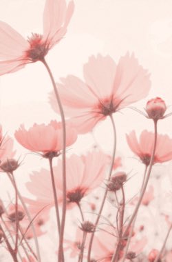 17xaesthetic's tweet photo. [Requested] 
Joshua aesthetic https://t.co/jyhQYjNobi