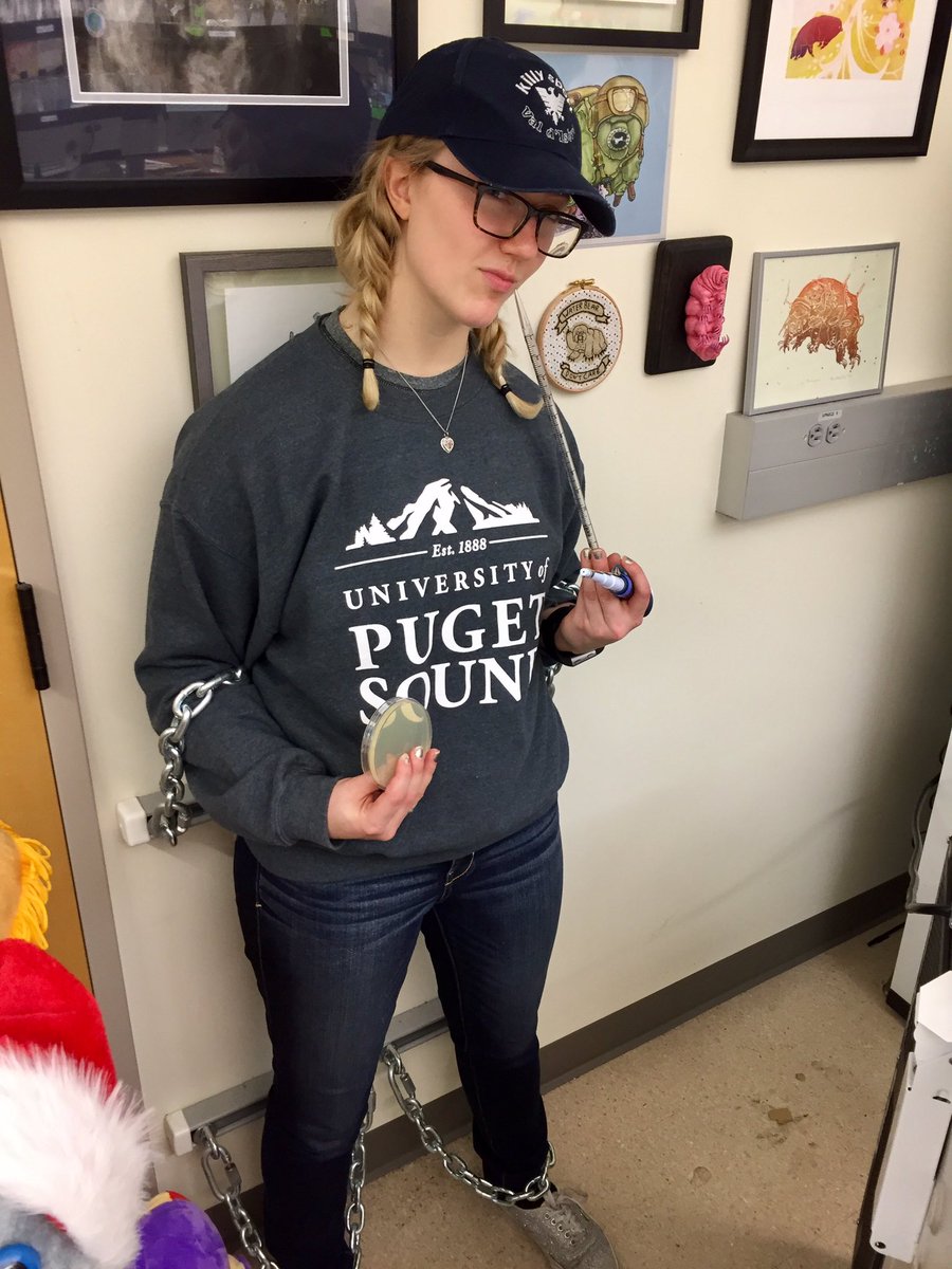 markowenmartin's tweet photo. Cleaning up and redecorating #MartinsMicrobialMenagerie can lead to #LabHijinks. @univpugetsound https://t.co/H0pWVyKVqU