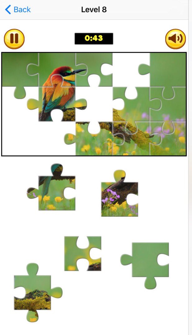 cbmexapps's tweet photo. Check new amazing game Puzzle Collection Pro: Animals. https://t.co/TZn3BKXi40 #iosgames #indiedev #puzzlegames #mobilegames #iospuzzlegames https://t.co/RD5WaOmhbv
