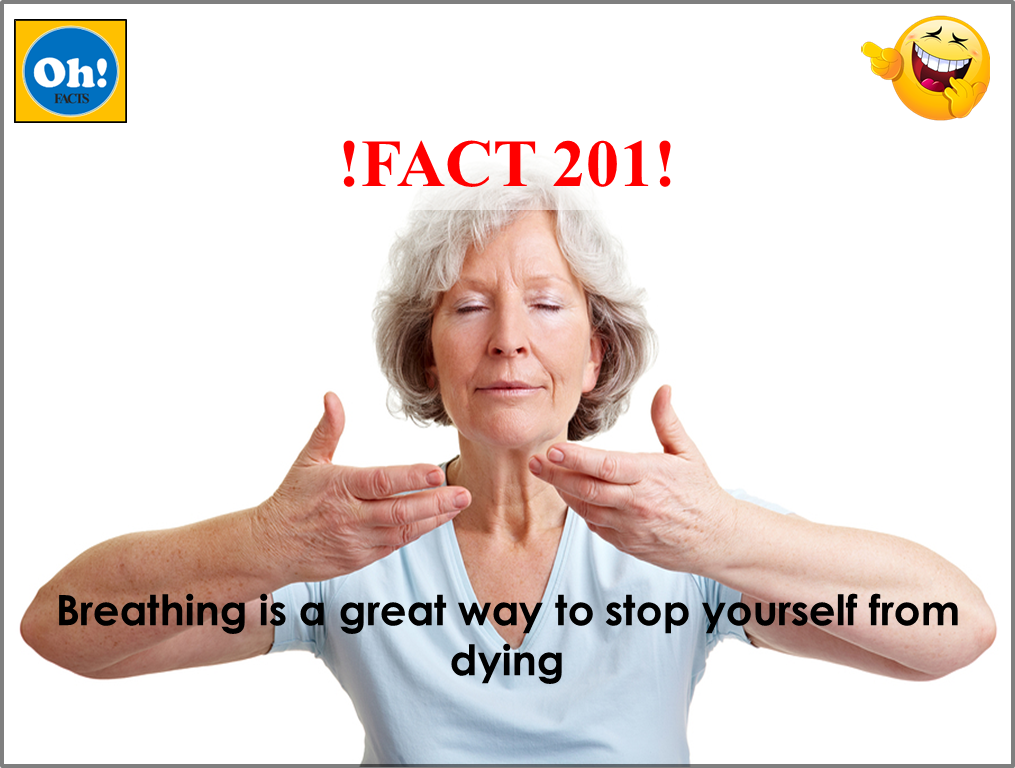 Oh_factz's tweet photo. !FACT 201! #breathingspace #funny #JokersJanuary #JokeoftheDay #sarcasm #obviously #meditation #factsoflife #factsmatter #yoga #aliveandwell https://t.co/lTXLhxLcqL
