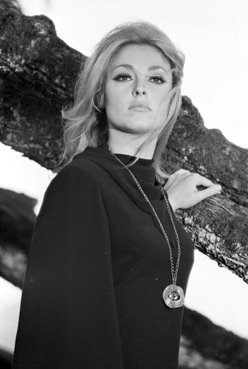 Happy Birthday Sharon Tate 