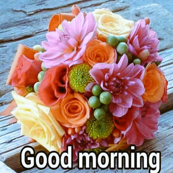 GeniusVarindra's tweet photo. Good mrng.....India
Have a peaceful day! https://t.co/LJaltStLMC