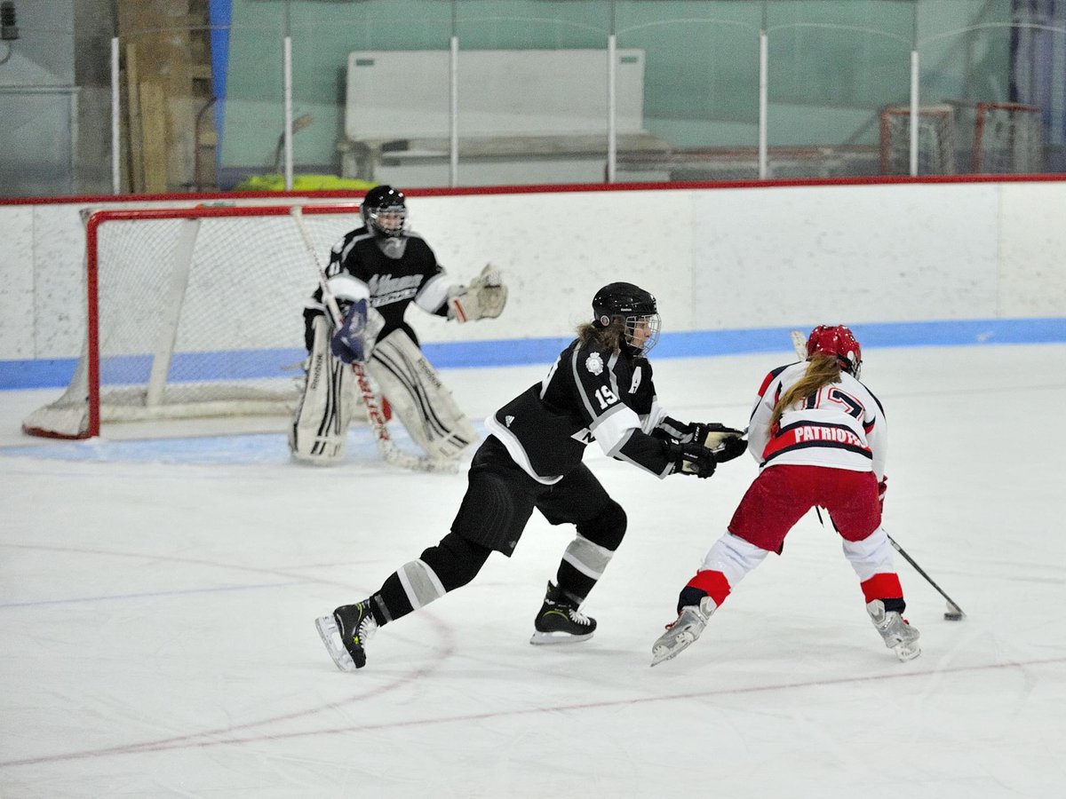 CanadianForces's tweet photo. Teams from OTT, MTL, Bagotville, #CFBValcartier took part in the Quebec Region CAF Women's Hockey Tournament! Valcartier took home the gold! https://t.co/SnVgCDOGOy