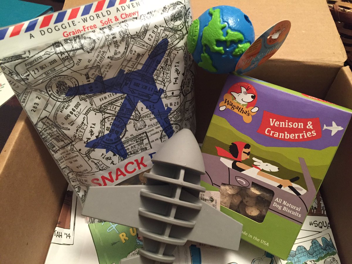 LensTinyToes's tweet photo. Sorry, I'm busy tonight #barkboxday https://t.co/Whyf2w4NGC