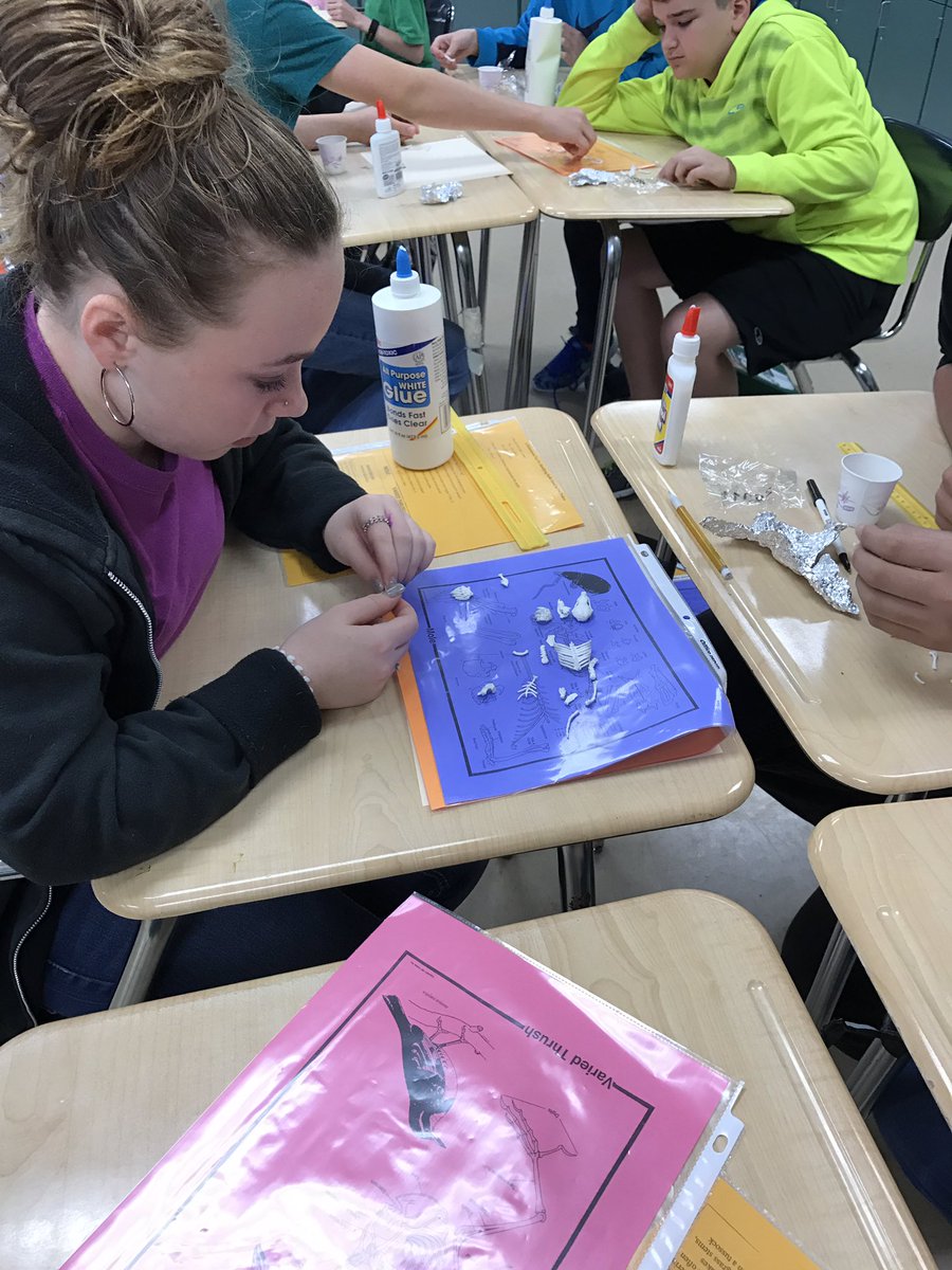 decelew's tweet photo. Students at Osceola Creek working with owl pellets as fossils in Science https://t.co/zW7pvp4qkd