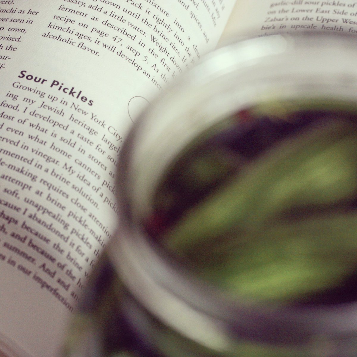 Taking inspiration from "Wild Fermentation" by <a href="/sandorkraut/">Sandor Katz</a>. Can't wait until these sour pickles are ready to eat! #talkingchefs #podcast