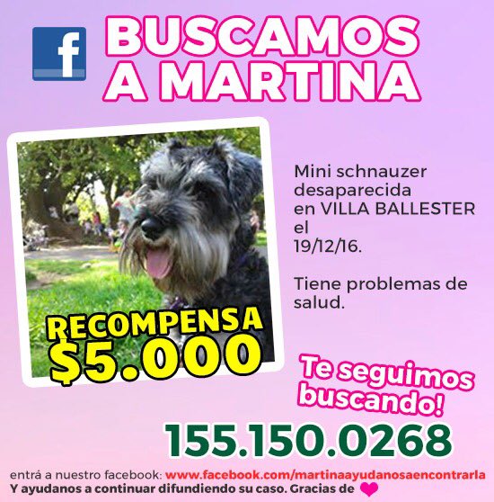 lularossini's tweet photo. Martina te seguimos buscando!!! No pude haber desaparecido por favor RT a ver si damos con la persona que la tiene!! 🙏🙏🙏🙏 https://t.co/gbCWvNUaDb