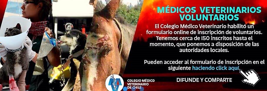 EpiOnTheRocks's tweet photo. ATENCIÓN AYUDA #VeterinariosVoluntarios por Chile! Colegio de Veterinarios habilitó formulario de inscripción #RT https://t.co/aI9lEHkt5e https://t.co/De4zKmBDNb